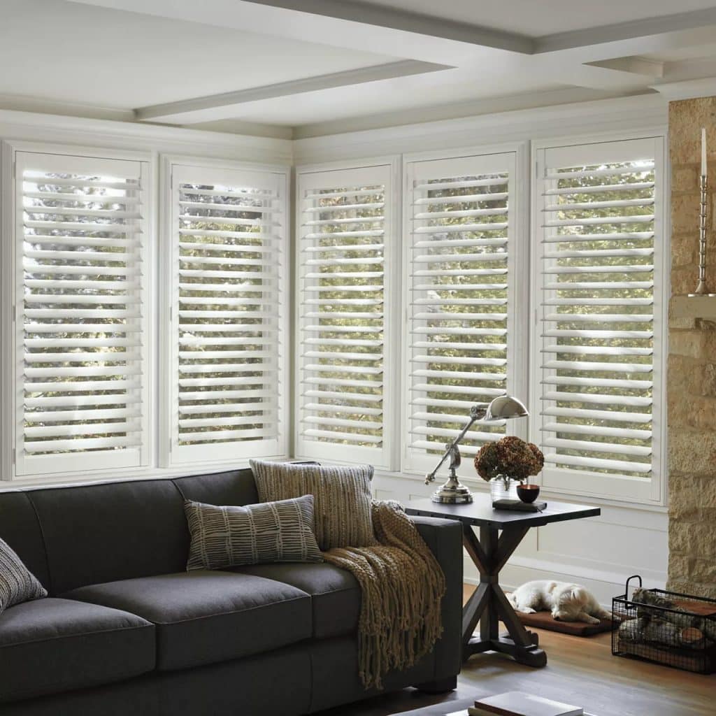 Read more about the article The History and Evolution of Window Shutters